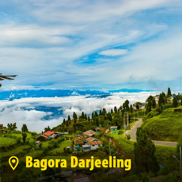 bagora-darjeeling