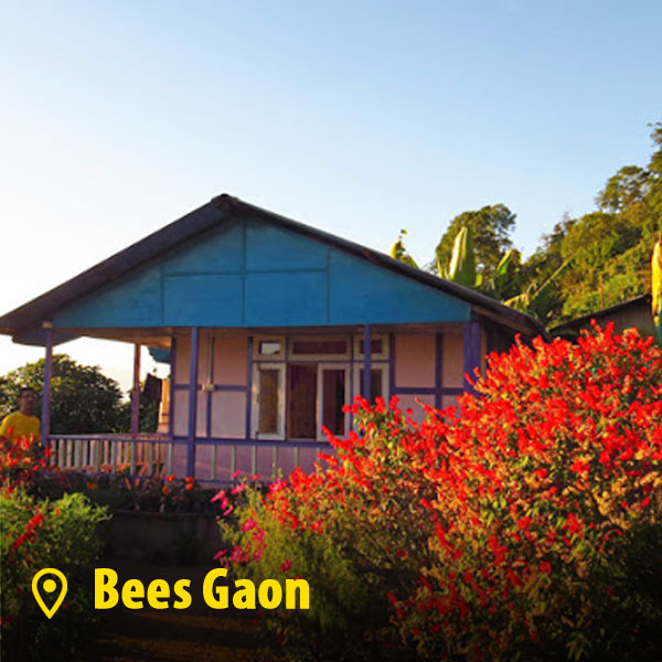 bees-gaon