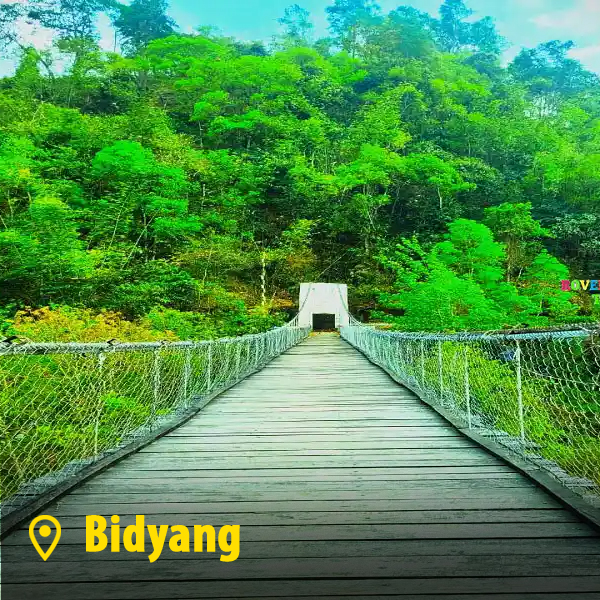 bidyang