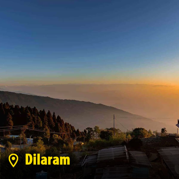 dilaram